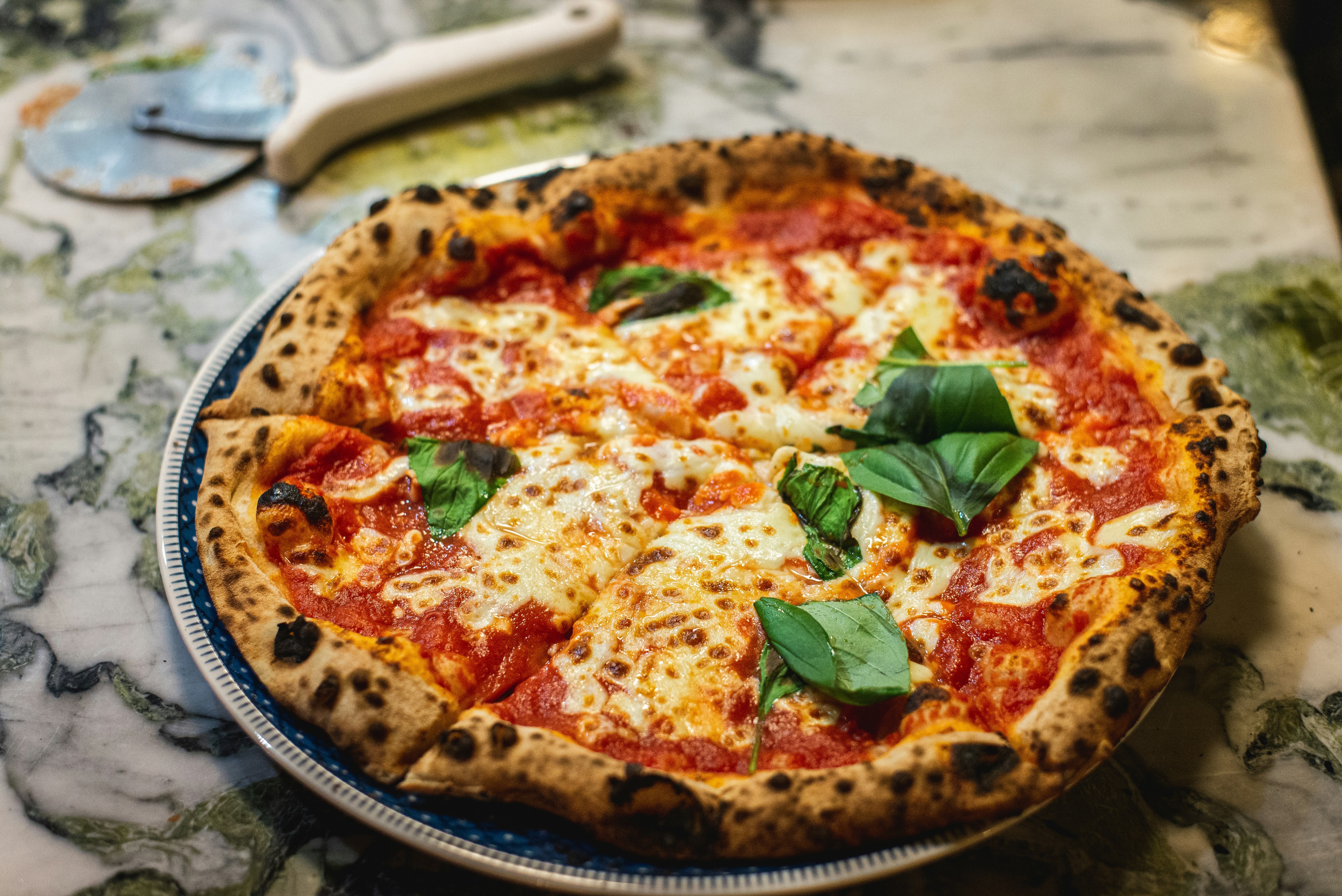 Neapolitan style margherita pizza 